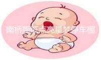 南桥撕纸点亮星梦停车棚，探索社区文化治理新范式